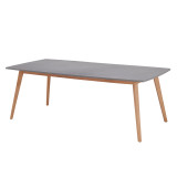 Apple Bee | Tuintafel Lombok 220 x 100 cm